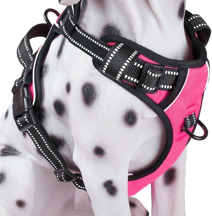 🐾 No Pull Dog Harness – Reflective, Comfortable & Adjustable Vest with Handle | Front & Back Clips | Soft Padded | For Small, Medium & Large Dogs (Mint Blue, M)