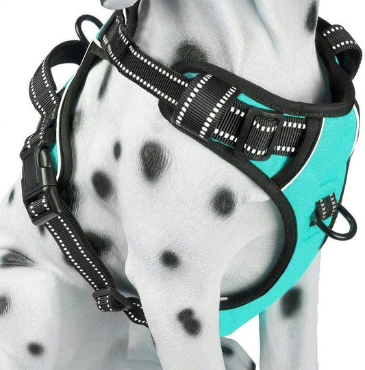 🐾 No Pull Dog Harness – Reflective, Comfortable & Adjustable Vest with Handle | Front & Back Clips | Soft Padded | For Small, Medium & Large Dogs (Mint Blue, M)